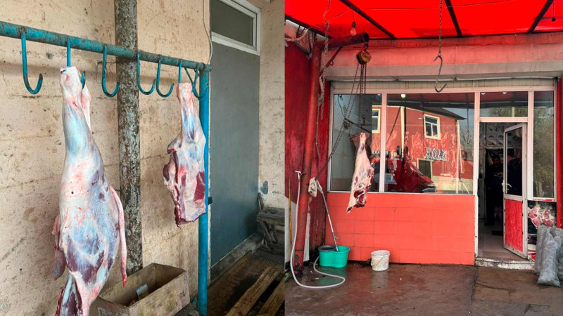 AQTA Masallıda monitorinq təşkil edib