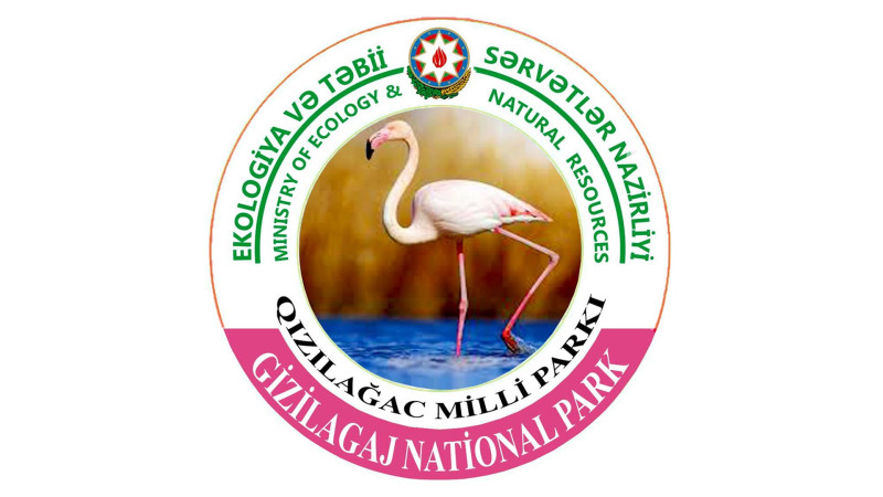 Qızılağac Milli Parkında Flaminqo festivalı keçiriləcək