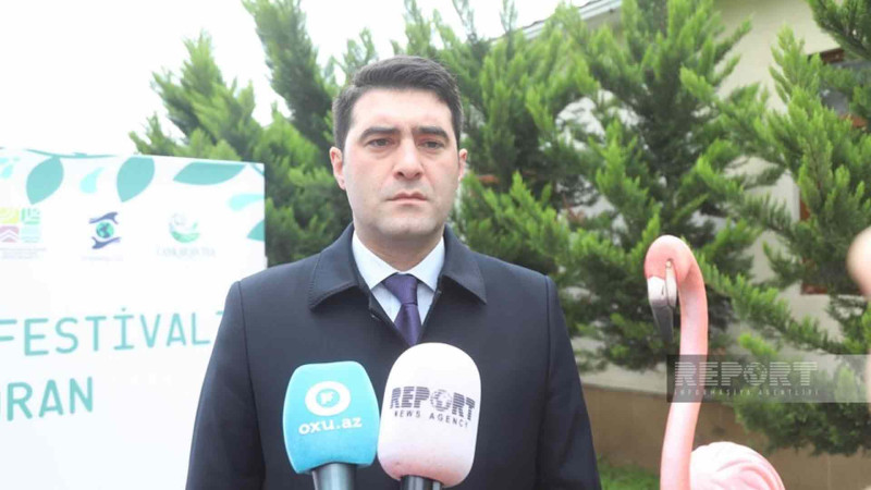 Lənkəranda keçirilən Flaminqo festivalında bir milyondan çox balıq dənizə buraxılıb