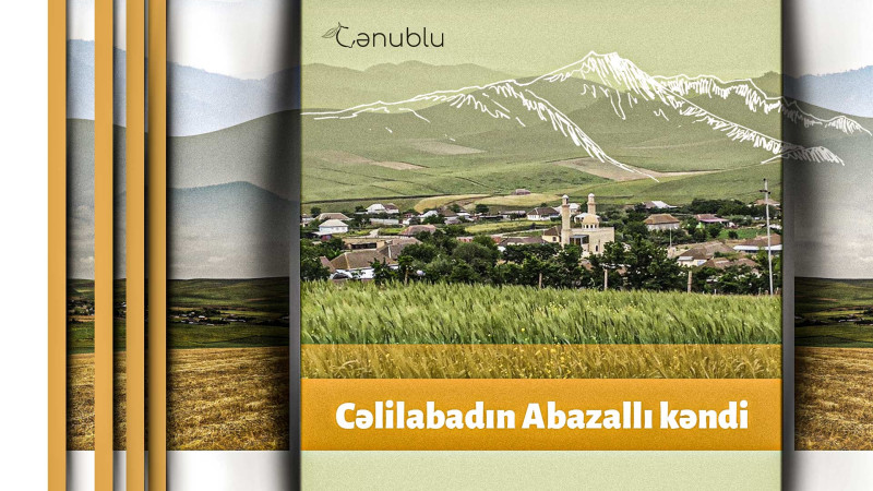 Abaz tayfası ilə bağlı adlandırılan yaşayış məntəqəsi: Cəlilabadın Abazallı kəndi
