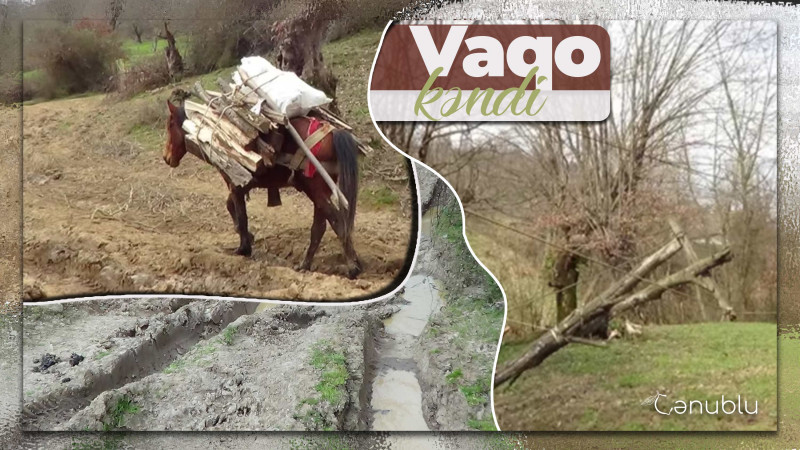 “Əxbarnamə” əsərində “Vaqoy” kimi qeyd olunan yaşayış məntəqəsi: Vaqo kəndi