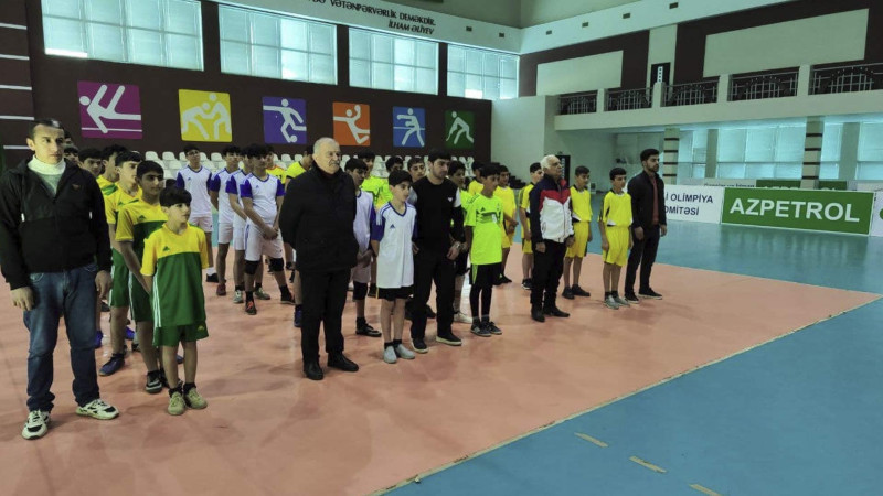 AVF nümayəndələri Masallıya səfər ediblər