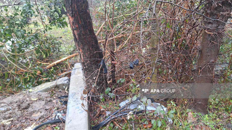 Lənkəranda ölümlə nəticələnən qəza