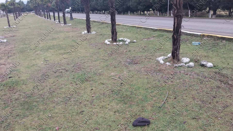 Lənkəranda qəza: piyada xəsarət alıb