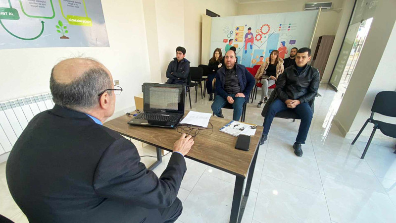 Cəlilabad meşələrində nadir ağaclar kəsilib