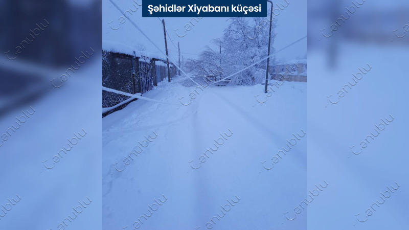 Lənkəranda qarın törətdiyi fəsadlar hələ də tam olaraq aradan qaldırılmayıb