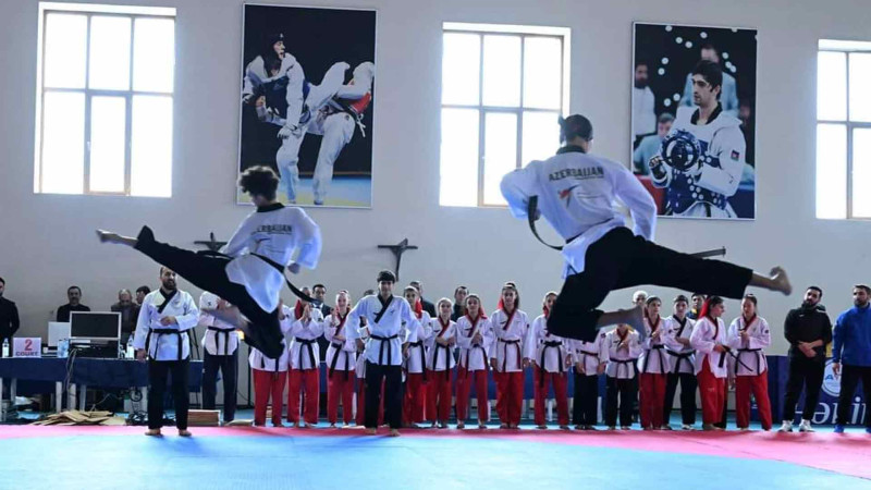 Lənkəranlı taekvondoçular Azərbaycan kubokunda uğur qazanıblar