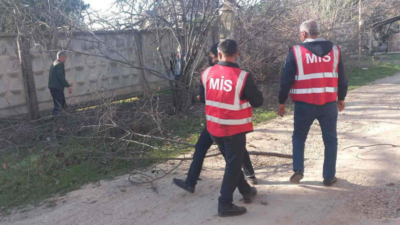 Cəlilabadda abadlıq işləri həyata keçirilir