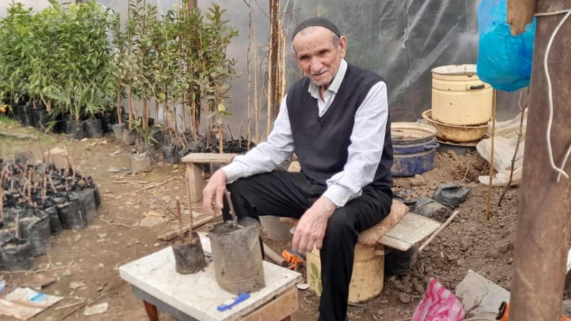 50 ildən çox tingçiliklə məşğul olan Şıxəli Kazımovu tanıyaq