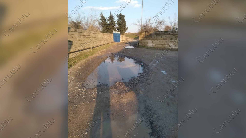 Lənkəranlı şəhid İslam Həsənovun bacısı Cenublu.az-a müraciət edib