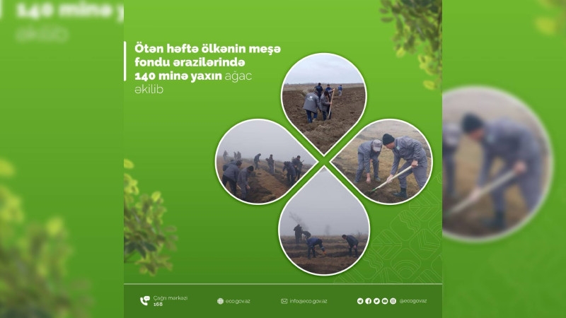 Bir həftə ərzində meşə fondu ərazilərində 140 minə yaxın ağac əkilib