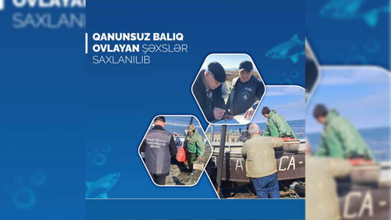 Lənkəranda qanunsuz ovla məşğul olan şəxslər cərimələniblər