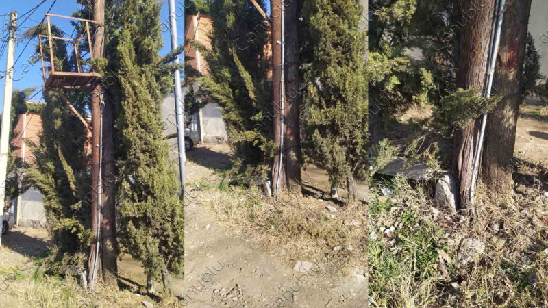 Lənkəran şəhərinin mərkəzində dirək aşmaq üzrədir