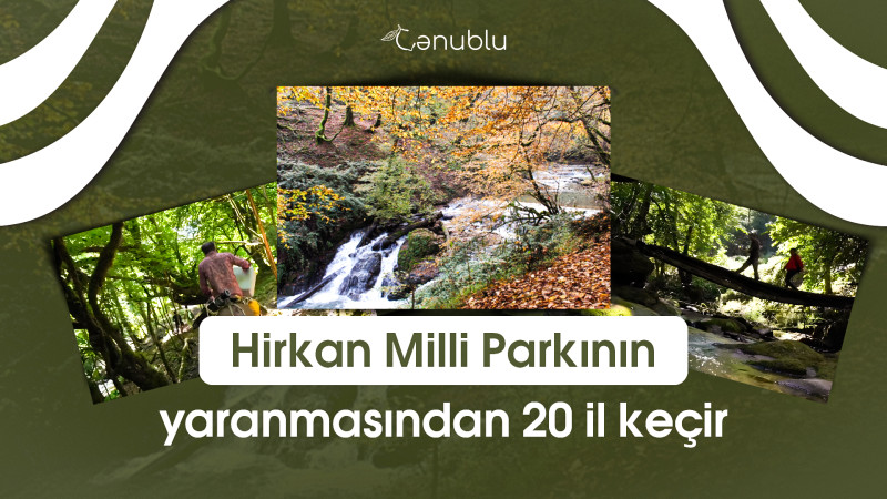 Bu gün Hirkan Milli Parkının yaranmasından 20 il keçir