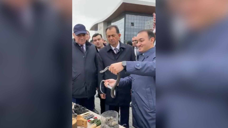 Lənkəranda keçirilən Novruz şənliyində maraqlı təcrübə yaşanıb