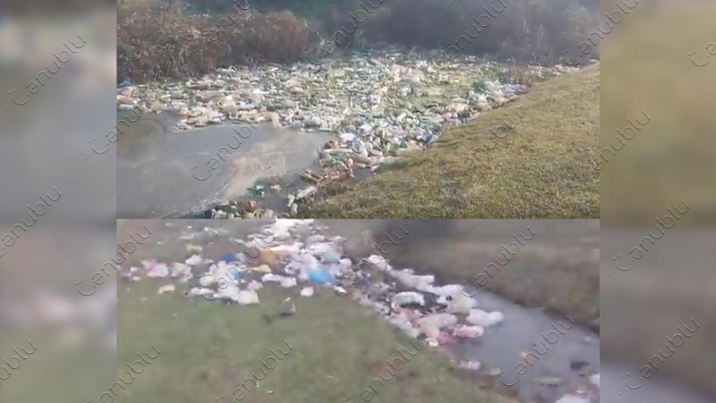 Astara: Bu qəsəbədə zibillik aşıb-daşır