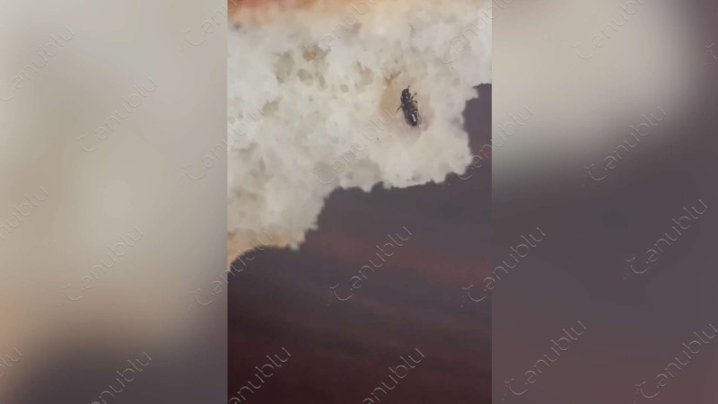 Lənkəranın Sütəmurdov kənd sakini çörəyin içindən həşərat çıxdığını iddia edib