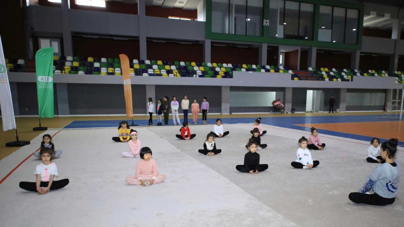 Lənkəranda gimnastika üzrə ustad dərsi keçirilib