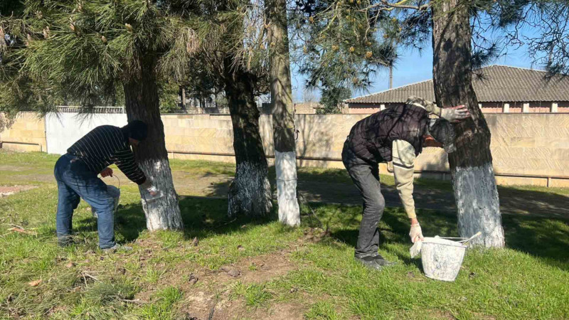 Lənkəranda “Yaşıl dünya naminə həmrəylik ili” çərçivəsində iməcilik keçirilib