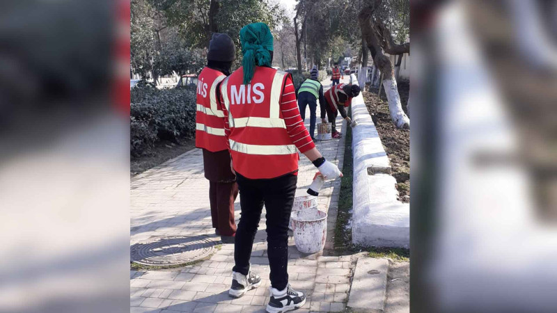 Cəlilabadda fin evləri ətrafında abadlıq işləri aparılıb