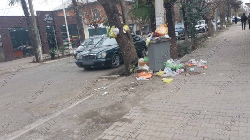 Lənkəran: Mir Mustafa Xan küçəsində zibillik problemi sakinləri narahat edir