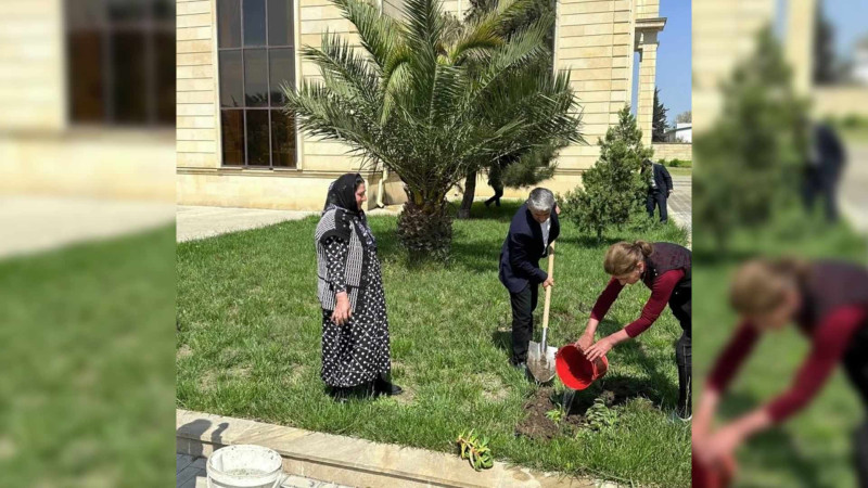Cəlilabadda Yaşıl dünya naminə həmrəylik ili çərçivəsində iməcilik keçirilib