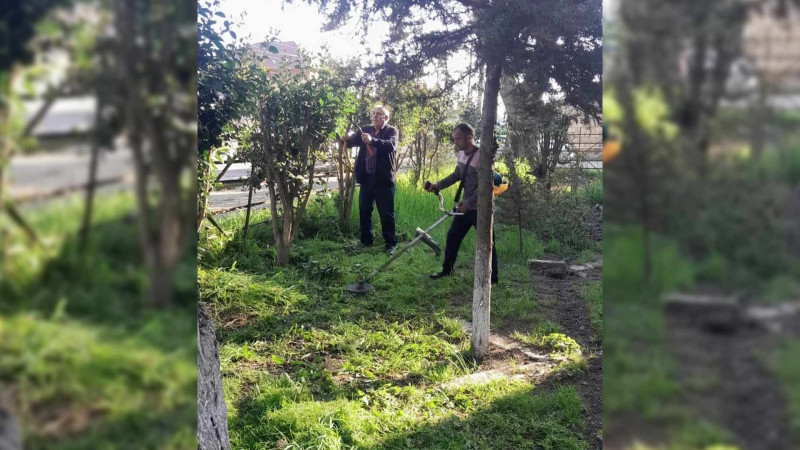 Masallıda iməcilik təşkil edilib