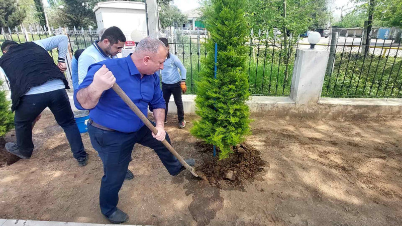 Lənkəranda təmizlik və abadlıq işləri həyata keçirilib