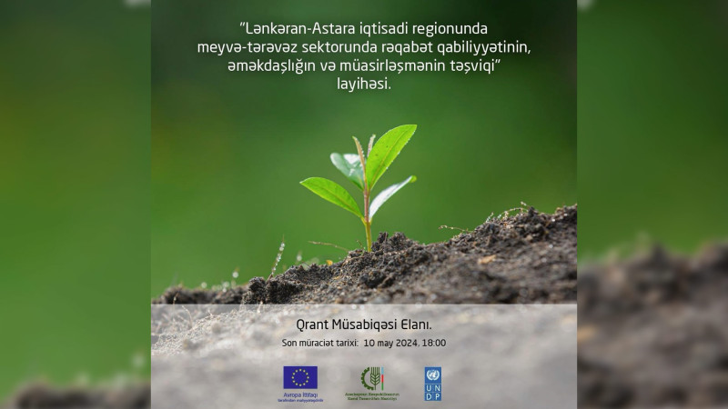 BMT-nin İnkişaf Proqramı və Avropa İttifaqı qrant müsabiqəsi elan edir