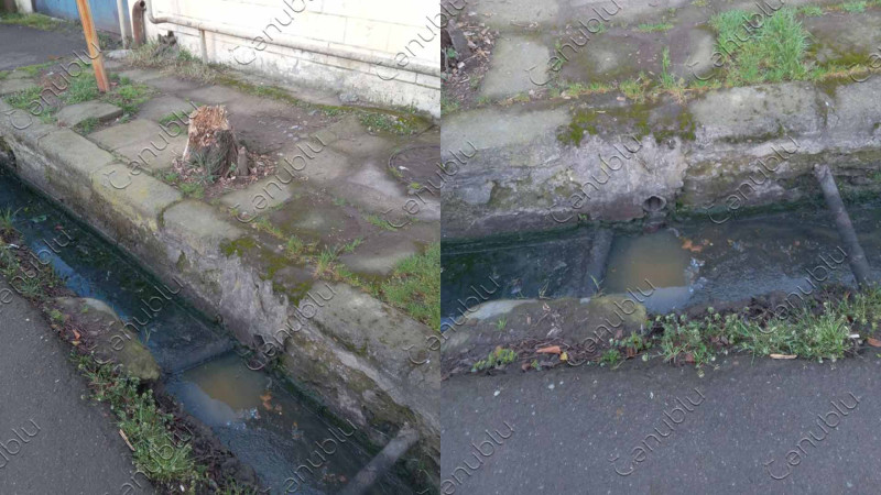 Lənkəran: Koroğlu küçəsindəki kanalizasiya problemi – İDDİA