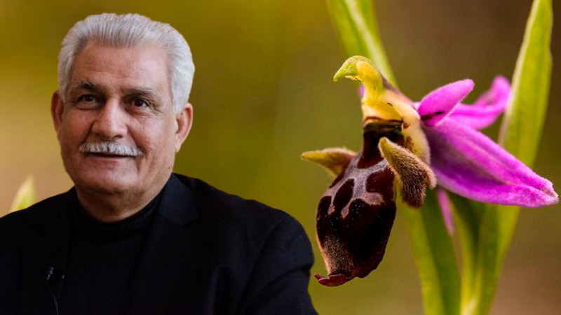 Xarıbülbülün Cəlilabada gətirilməsinin tarixçəsi