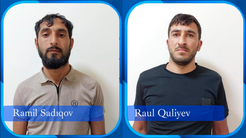 Cəlilabadda mal-qara oğurlayan qohumlar tutulublar