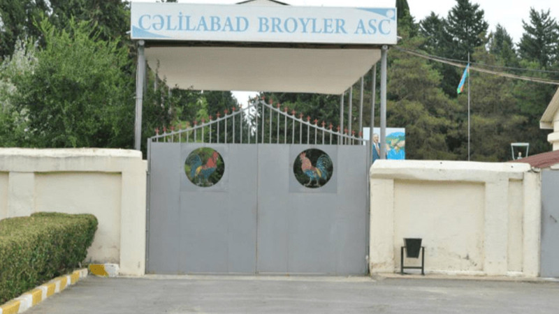 “Cəlilabad Broyler” ASC 172 min zərər edib