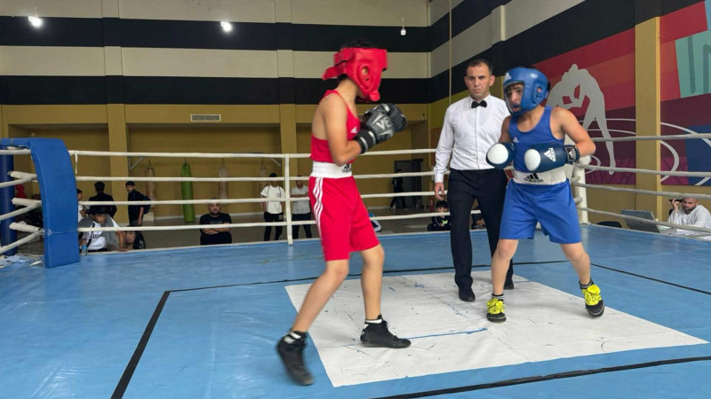 Lənkəranda boks idman növü üzrə yarış baş tutub