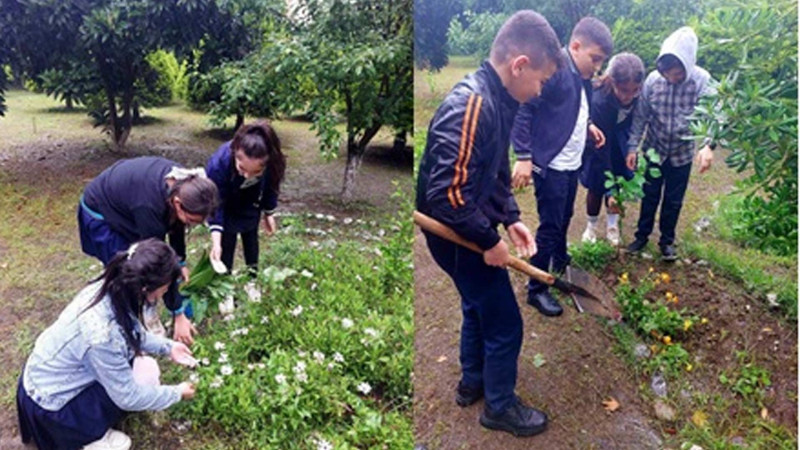 Masallıda ağac və güləkmə aksiyası keçirilib