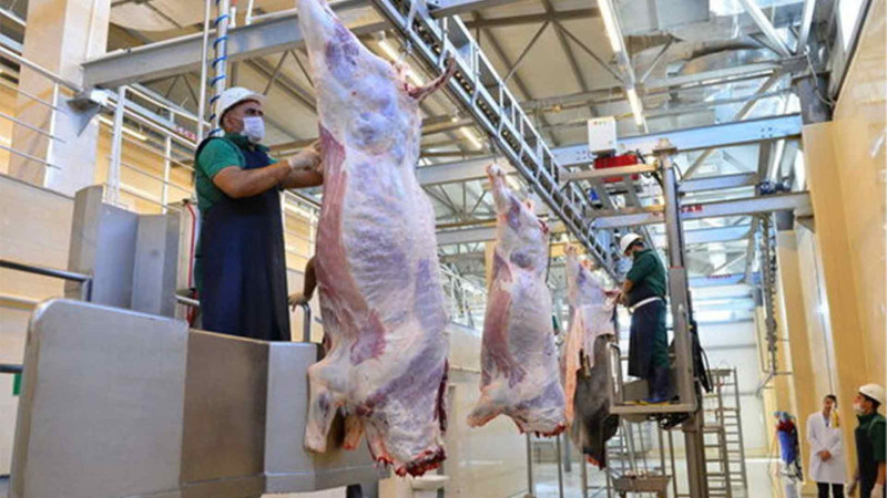 Bayramda qurbanlıq heyvanların satışı və kəsimi məntəqələri – ÜNVANLAR