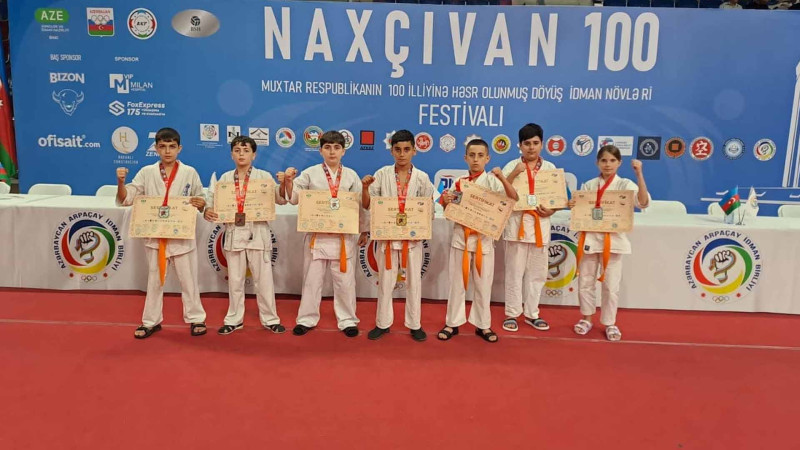 Cənub bölgəsindən olan idmançılar döyüş idman növləri festivalında uğur qazanıblar