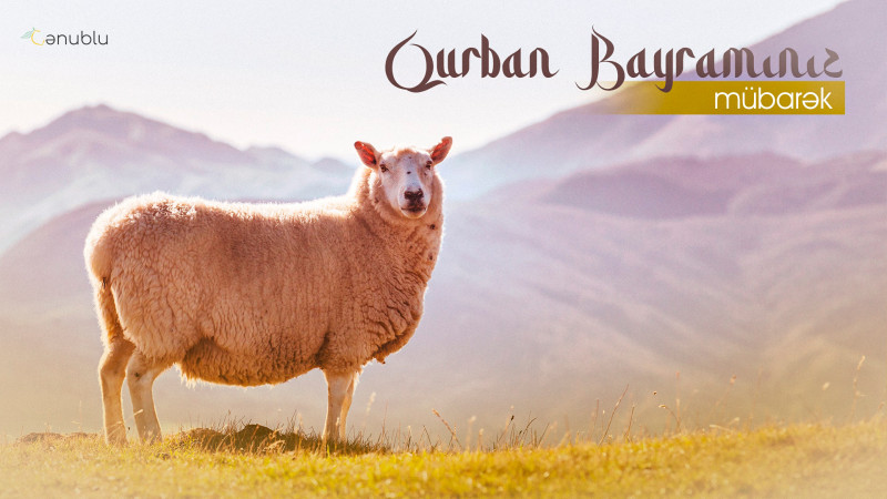 Bu gün xalqımız müqəddəs Qurban bayramını qeyd edir