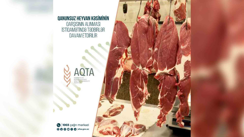 AQTA Lənkəran və Masallıda monitorinqlər keçirib