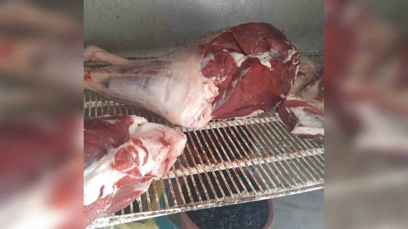 AQTA Lənkəran və Masallıda yoxlamalar aparıb