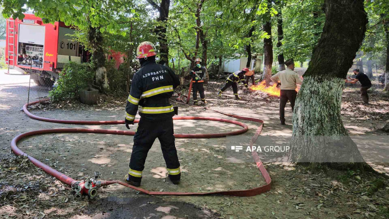 FHN Hirkan Milli Parkında tədbir keçirib