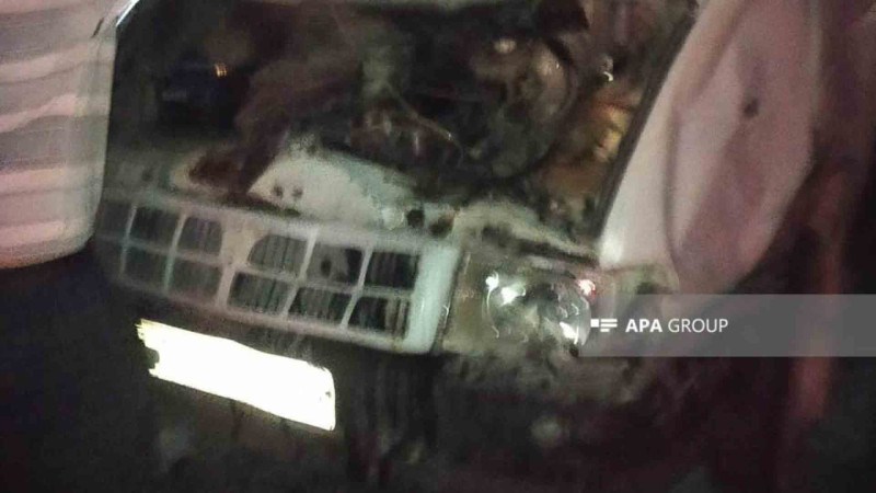 Lənkəranda qəza: yük avtomobili camışları vurub