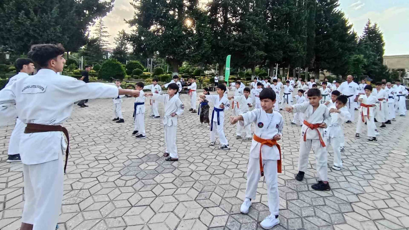 Cəlilabadda karate idman növü üzrə master-klas keçirilib