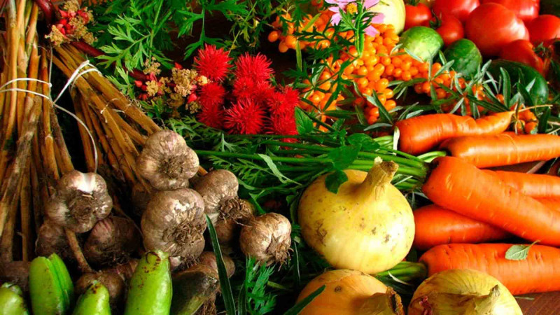 Cəlilabadda tərəvəz sahələri azaldılıb