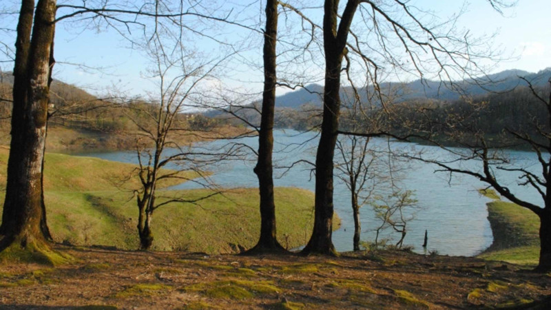 Hirkan milli parkında bu həftə hava necə olacaq?