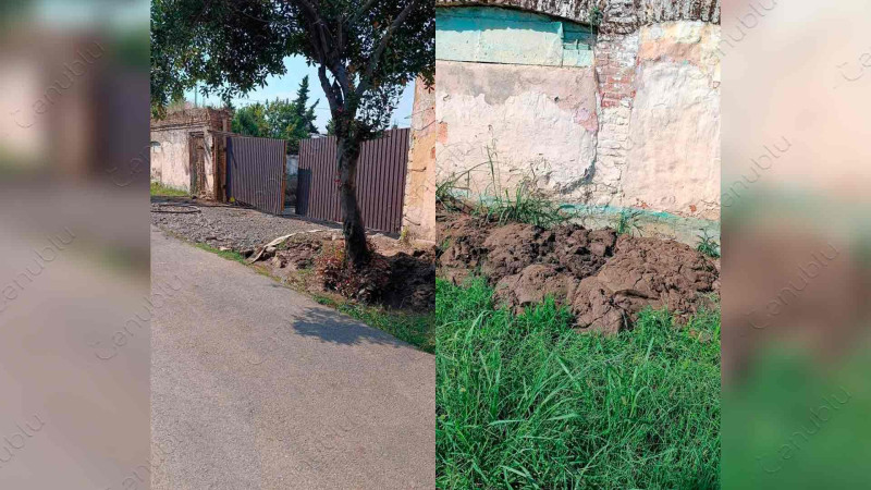 Arxlarda yaranan antisanitar vəziyyət: Lənkəran sakinlərinin problemi niyə həll olunmur?