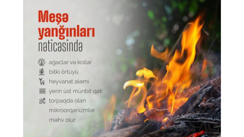 Cənub bölgəsində yanğına həssas ərazilər müəyyən olunub