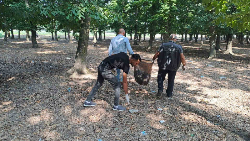 Cəlilabadda Təmizlik Marafonu çərçivəsində aksiya baş tutub