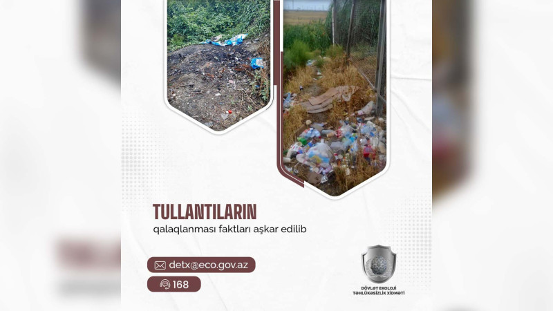 Masallıda avtotəmir sexi cərimələnib