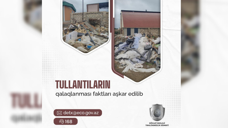 Astarada ətrafı zibilləyən qardaşlar cərimələniblər